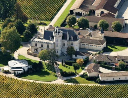 Château Pape Clément : Histoire, Tradition et Vins d’exception à découvrir avec un taxi Bordeaux